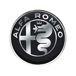 Alfa Romeoカット済みカーボンシートパーツ